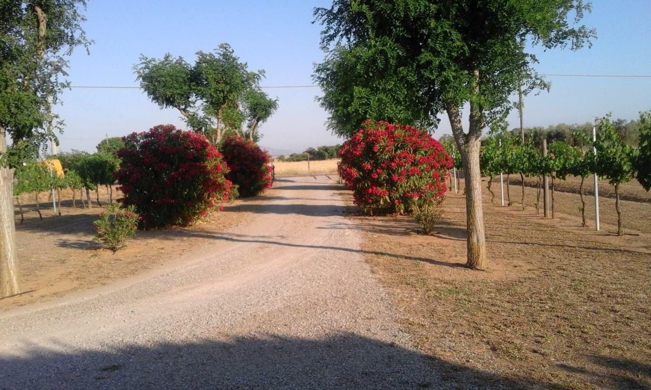 Willa Monolocale Con Giardino Castiglione della Pescaia Zewnętrze zdjęcie