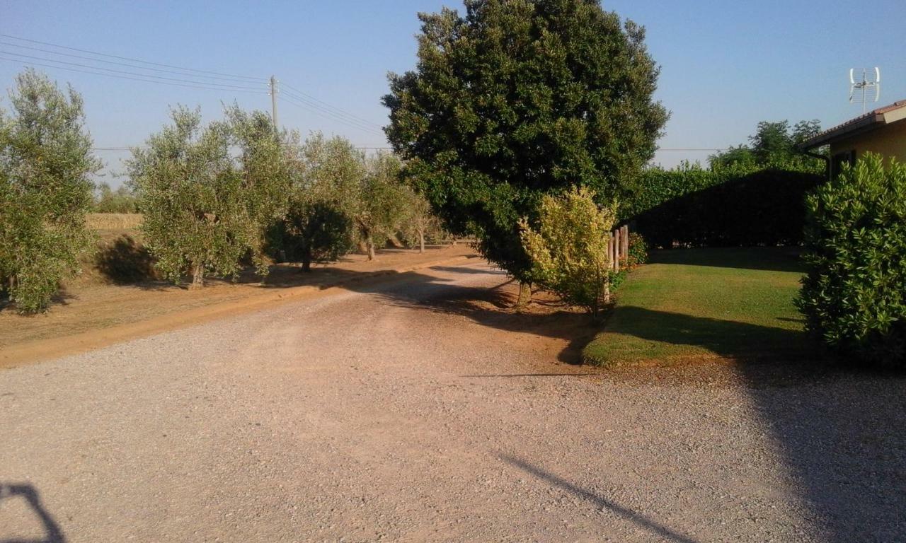 Willa Monolocale Con Giardino Castiglione della Pescaia Zewnętrze zdjęcie